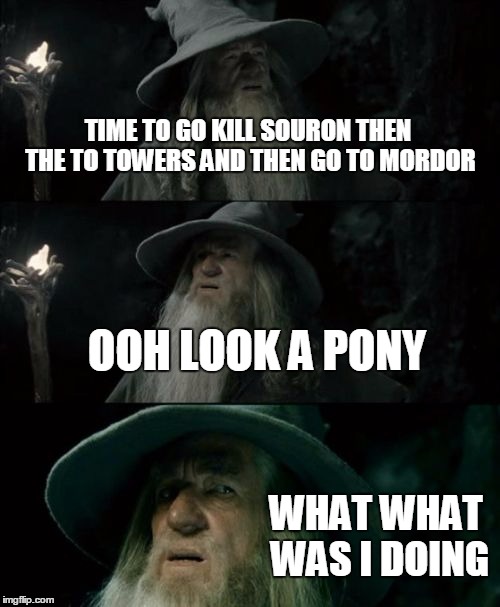 Confused Gandalf Meme | TIME TO GO KILL SOURON THEN THE TO TOWERS AND THEN GO TO MORDOR; OOH LOOK A PONY; WHAT WHAT WAS I DOING | image tagged in memes,confused gandalf | made w/ Imgflip meme maker