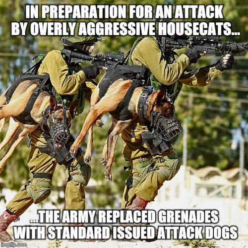 Go home general, you're drunk! | IN PREPARATION FOR AN ATTACK BY OVERLY AGGRESSIVE HOUSECATS... ...THE ARMY REPLACED GRENADES WITH STANDARD ISSUED ATTACK DOGS | image tagged in holstered attack dogs,original meme,front page,army,dogs | made w/ Imgflip meme maker