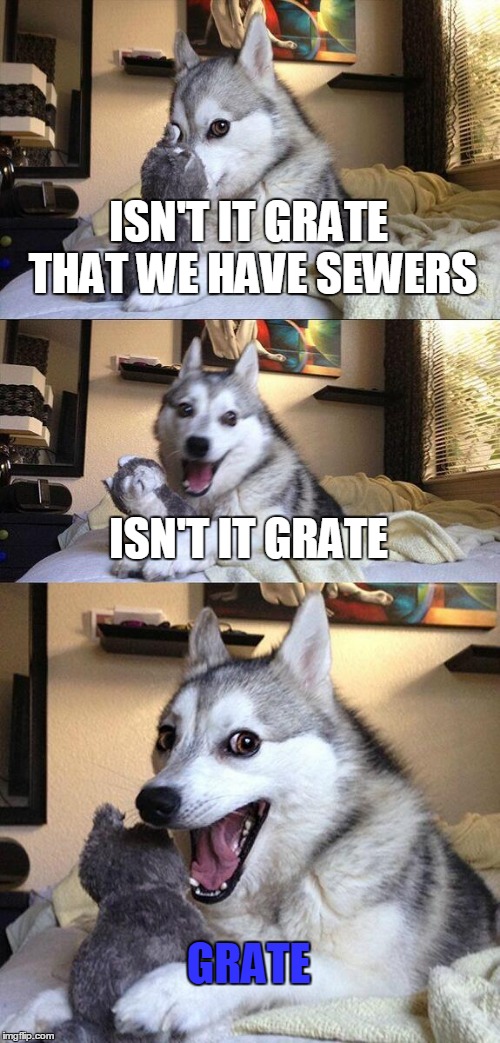 Isn't it grate that we have sewers | ISN'T IT GRATE THAT WE HAVE SEWERS; ISN'T IT GRATE; GRATE | image tagged in memes,bad pun dog,funny,funny memes,bad puns,puns | made w/ Imgflip meme maker
