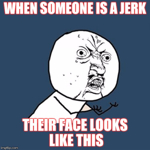 Y U No Meme | WHEN SOMEONE IS A JERK; THEIR FACE LOOKS LIKE THIS | image tagged in memes,y u no | made w/ Imgflip meme maker