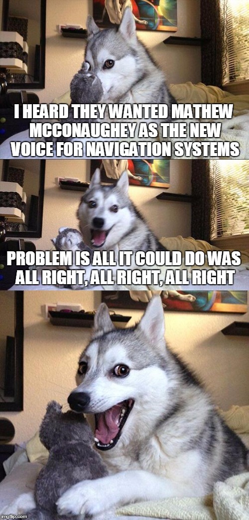 Bad Pun Dog Meme | I HEARD THEY WANTED MATHEW MCCONAUGHEY AS THE NEW VOICE FOR NAVIGATION SYSTEMS; PROBLEM IS ALL IT COULD DO WAS ALL RIGHT, ALL RIGHT, ALL RIGHT | image tagged in memes,bad pun dog | made w/ Imgflip meme maker