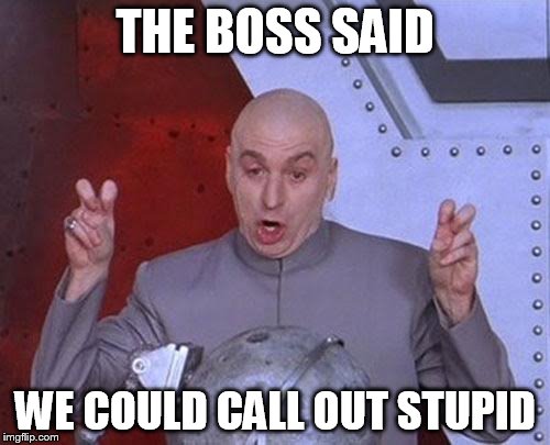 Dr Evil Laser | THE BOSS SAID; WE COULD CALL OUT STUPID | image tagged in memes,dr evil laser,funny,funny memes,funny meme | made w/ Imgflip meme maker