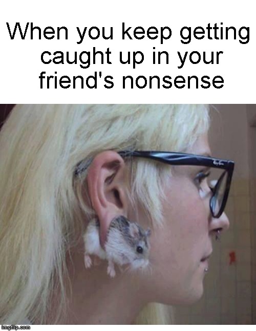How'd I get into this mess? | When you keep getting caught up in your friend's nonsense | image tagged in funny memes,nonsense,friends,mouse,girl | made w/ Imgflip meme maker