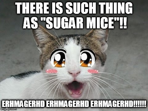 mice of the gods | THERE IS SUCH THING AS "SUGAR MICE"!! ERHMAGERHD ERHMAGERHD ERHMAGERHD!!!!!! | image tagged in awesome | made w/ Imgflip meme maker