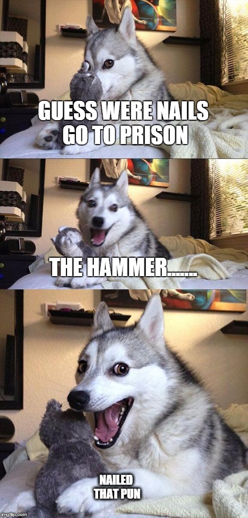 Bad Pun Dog |  GUESS WERE NAILS GO TO PRISON; THE HAMMER....... NAILED THAT PUN | image tagged in memes,bad pun dog | made w/ Imgflip meme maker