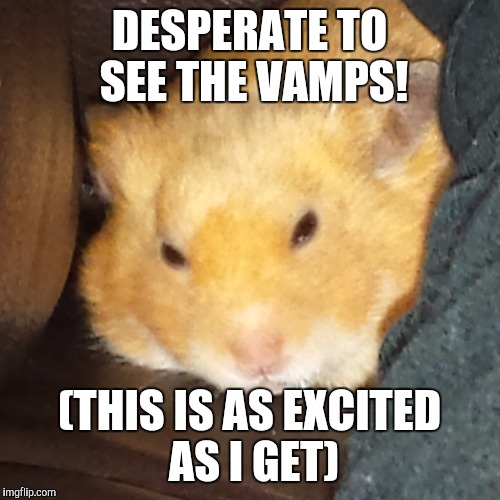 DESPERATE TO SEE THE VAMPS! (THIS IS AS EXCITED AS I GET) | made w/ Imgflip meme maker