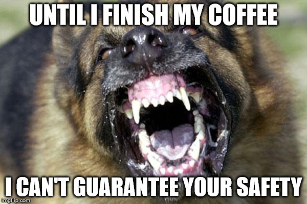 CoffeeDog | UNTIL I FINISH MY COFFEE; I CAN'T GUARANTEE YOUR SAFETY | image tagged in coffeedog | made w/ Imgflip meme maker