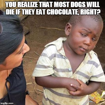 Third World Skeptical Kid Meme | YOU REALIZE THAT MOST DOGS WILL DIE IF THEY EAT CHOCOLATE, RIGHT? | image tagged in memes,third world skeptical kid | made w/ Imgflip meme maker
