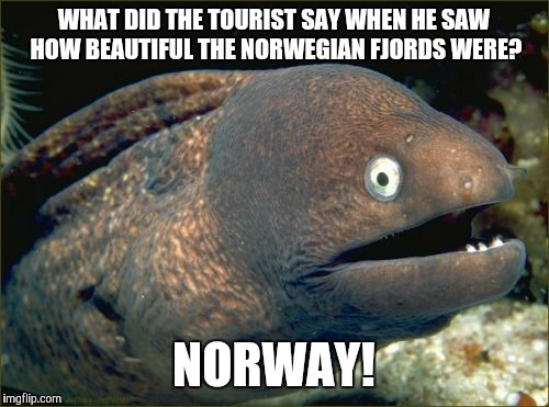 Bad Joke Eel Meme | WHAT DID THE TOURIST SAY WHEN HE SAW HOW BEAUTIFUL THE NORWEGIAN FJORDS WERE? NORWAY! | image tagged in memes,bad joke eel | made w/ Imgflip meme maker