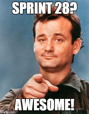 Bill Murray You're Awesome | SPRINT 28? AWESOME! | image tagged in bill murray you're awesome | made w/ Imgflip meme maker