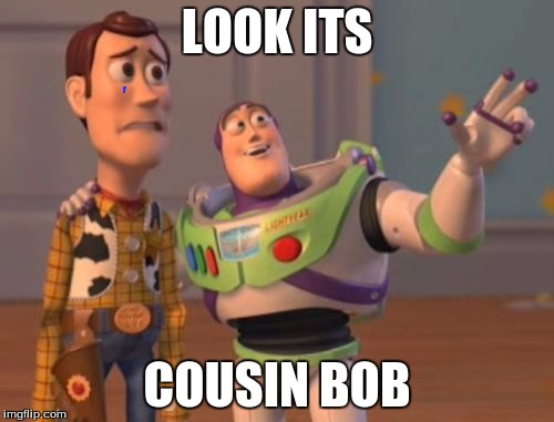 X, X Everywhere Meme | LOOK ITS; COUSIN BOB | image tagged in memes,x x everywhere | made w/ Imgflip meme maker