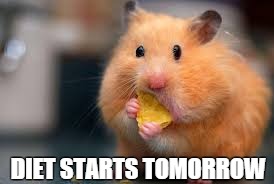 DIET STARTS TOMORROW | image tagged in mouse | made w/ Imgflip meme maker