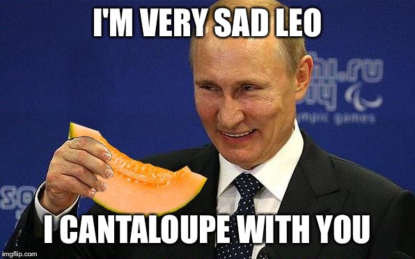Putin Melon | I'M VERY SAD LEO I CANTALOUPE WITH YOU | image tagged in putin melon | made w/ Imgflip meme maker