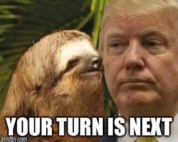 Political advice sloth | YOUR TURN IS NEXT | image tagged in political advice sloth | made w/ Imgflip meme maker