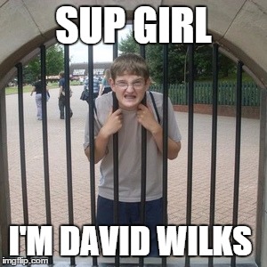 SUP GIRL; I'M DAVID WILKS | image tagged in david is handicapped | made w/ Imgflip meme maker