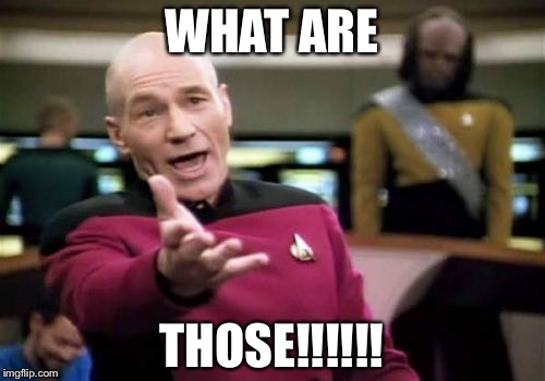 Picard Wtf Meme | WHAT ARE; THOSE!!!!!! | image tagged in memes,picard wtf | made w/ Imgflip meme maker