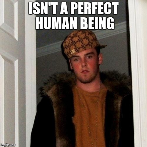 What this meme has become | ISN'T A PERFECT HUMAN BEING | image tagged in memes,scumbag steve | made w/ Imgflip meme maker