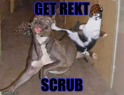 GET REKT | GET REKT; SCRUB | image tagged in get rekt,scumbag | made w/ Imgflip meme maker