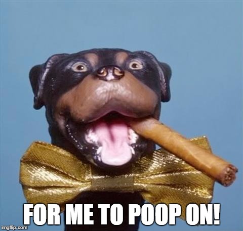 Triumph the Insult Comic Dog | FOR ME TO POOP ON! | image tagged in triumph the insult comic dog | made w/ Imgflip meme maker