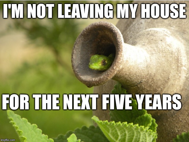 I'M NOT LEAVING MY HOUSE FOR THE NEXT FIVE YEARS | image tagged in lizard inside pot | made w/ Imgflip meme maker