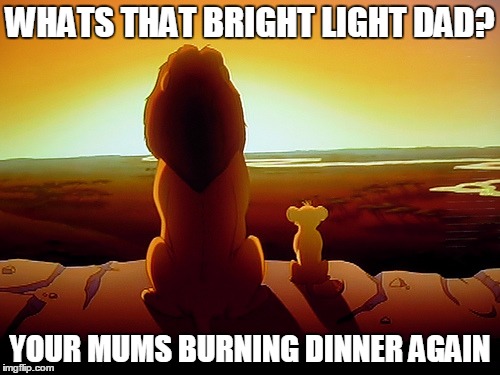 Lion King Meme | WHATS THAT BRIGHT LIGHT DAD? YOUR MUMS BURNING DINNER AGAIN | image tagged in memes,lion king | made w/ Imgflip meme maker