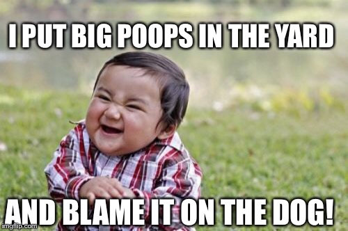 Evil Toddler Meme | I PUT BIG POOPS IN THE YARD AND BLAME IT ON THE DOG! | image tagged in memes,evil toddler | made w/ Imgflip meme maker