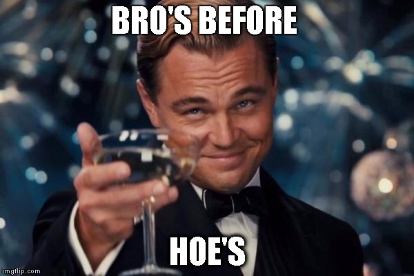 Leonardo Dicaprio Cheers | BRO'S BEFORE; HOE'S | image tagged in memes,leonardo dicaprio cheers | made w/ Imgflip meme maker