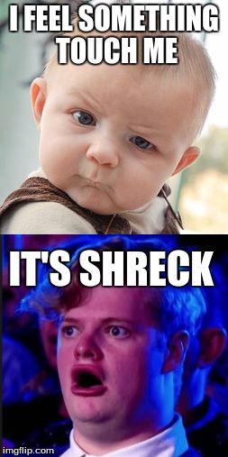 shrek touched me | I FEEL SOMETHING TOUCH ME; IT'S SHRECK | image tagged in shrek,confused baby | made w/ Imgflip meme maker