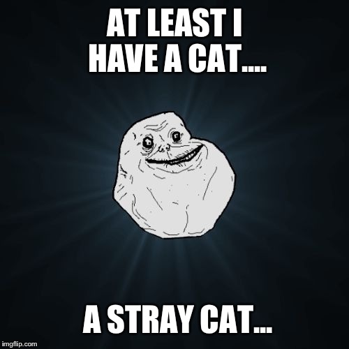 AT LEAST I HAVE A CAT.... A STRAY CAT... | made w/ Imgflip meme maker