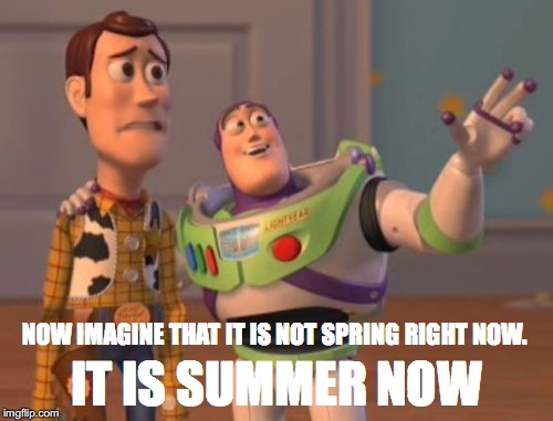 X, X Everywhere | IT IS SUMMER NOW; NOW IMAGINE THAT IT IS NOT SPRING RIGHT NOW. | image tagged in memes,x x everywhere | made w/ Imgflip meme maker