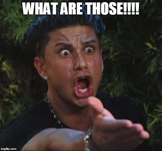DJ Pauly D | WHAT ARE THOSE!!!! | image tagged in memes,dj pauly d | made w/ Imgflip meme maker