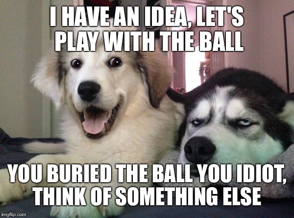 Dog time  | I HAVE AN IDEA, LET'S PLAY WITH THE BALL; YOU BURIED THE BALL YOU IDIOT, THINK OF SOMETHING ELSE | image tagged in memes | made w/ Imgflip meme maker