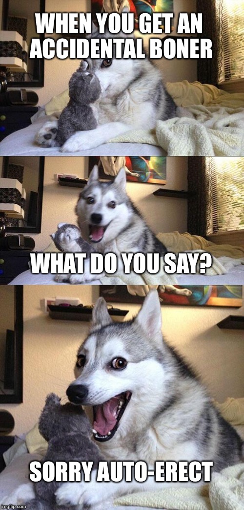 Bad Pun Dog | WHEN YOU GET AN ACCIDENTAL BONER; WHAT DO YOU SAY? SORRY AUTO-ERECT | image tagged in memes,bad pun dog | made w/ Imgflip meme maker