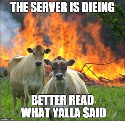 Evil Cows Meme | THE SERVER IS DIEING; BETTER READ WHAT YALLA SAID | image tagged in memes,evil cows | made w/ Imgflip meme maker