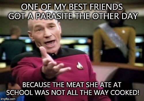 True story. I've noticed that in the center of some of the meat the school made that I eat was pink... | ONE OF MY BEST FRIENDS GOT A PARASITE THE OTHER DAY; BECAUSE THE MEAT SHE ATE AT SCHOOL WAS NOT ALL THE WAY COOKED! | image tagged in memes,picard wtf | made w/ Imgflip meme maker