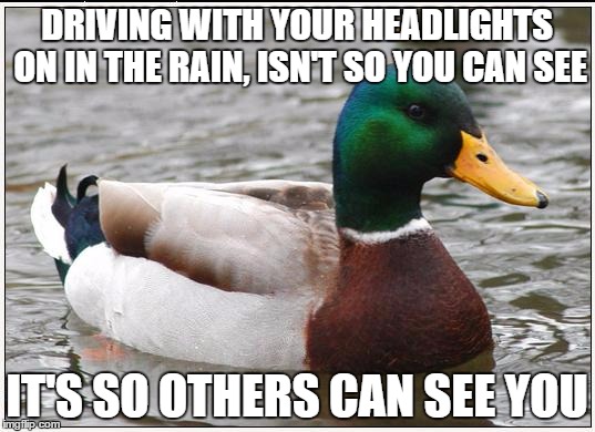 Stay Safe My Friends | DRIVING WITH YOUR HEADLIGHTS ON IN THE RAIN, ISN'T SO YOU CAN SEE; IT'S SO OTHERS CAN SEE YOU | image tagged in memes,actual advice mallard | made w/ Imgflip meme maker