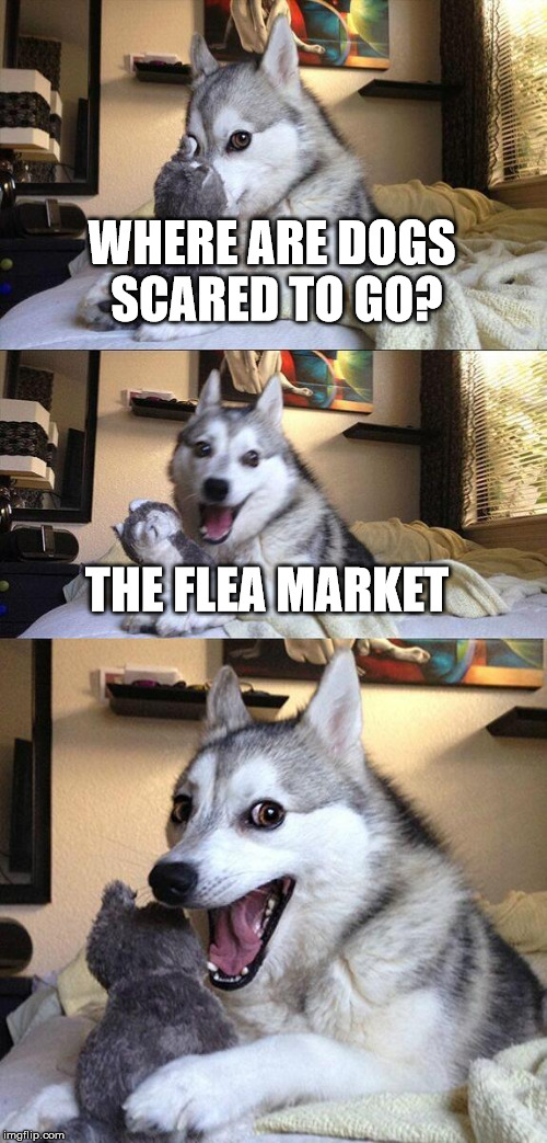 Bad Pun Dog Meme | WHERE ARE DOGS SCARED TO GO? THE FLEA MARKET | image tagged in memes,bad pun dog | made w/ Imgflip meme maker