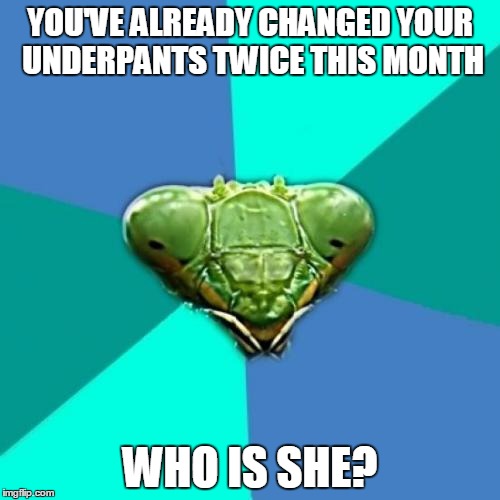 Crazy Girlfriend Praying Mantis | YOU'VE ALREADY CHANGED YOUR UNDERPANTS TWICE THIS MONTH; WHO IS SHE? | image tagged in memes,crazy girlfriend praying mantis | made w/ Imgflip meme maker