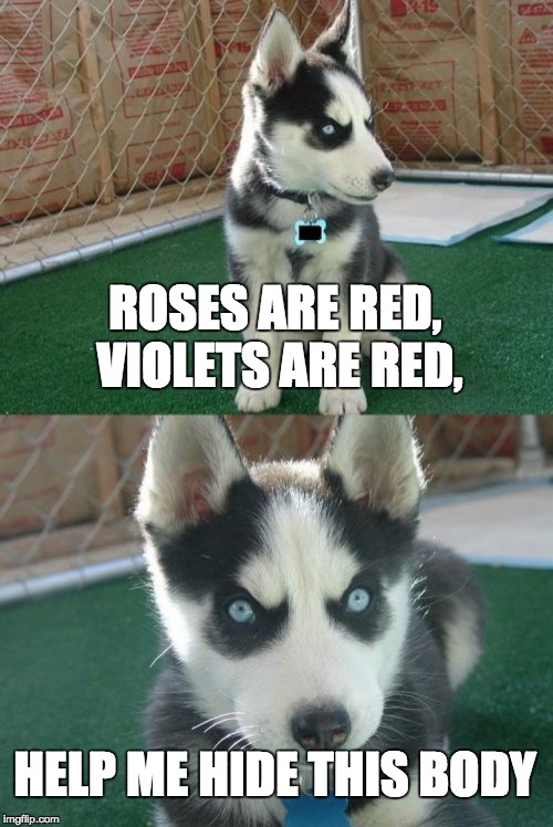Insanity Puppy | ROSES ARE RED, VIOLETS ARE RED, HELP ME HIDE THIS BODY | image tagged in memes,insanity puppy | made w/ Imgflip meme maker