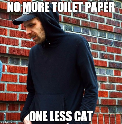 Scummy Wil | NO MORE TOILET PAPER; ONE LESS CAT | image tagged in scummy wil | made w/ Imgflip meme maker