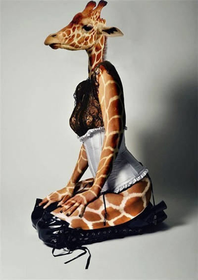 Sexy Giraffe Blank Meme Template