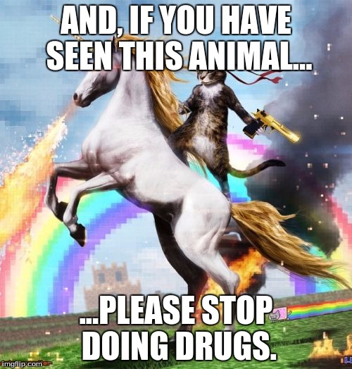 Welcome To The Internets | AND, IF YOU HAVE SEEN THIS ANIMAL... ...PLEASE STOP DOING DRUGS. | image tagged in memes,welcome to the internets | made w/ Imgflip meme maker