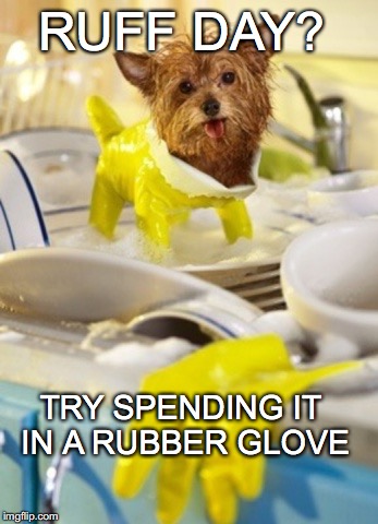 Poor baby... | RUFF DAY? TRY SPENDING IT IN A RUBBER GLOVE | image tagged in rough day,ruff day,sink,dog doing dishes,rubber glove | made w/ Imgflip meme maker