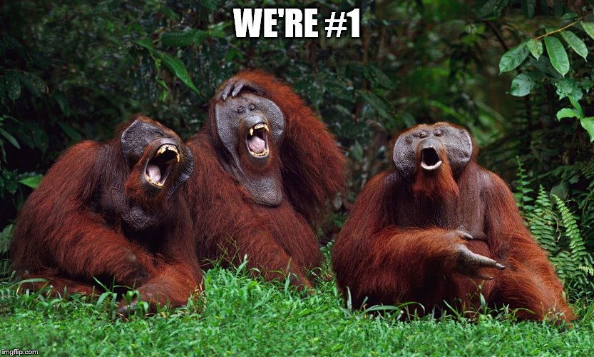 laughing orangutans | WE'RE #1 | image tagged in laughing orangutans | made w/ Imgflip meme maker