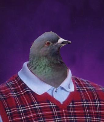 High Quality Bad Luck Pigeon Blank Meme Template
