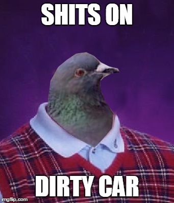 Bad Luck Pigeon | SHITS ON DIRTY CAR | image tagged in bad luck pigeon | made w/ Imgflip meme maker