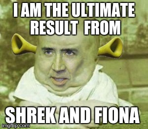 Shrek and Fiona sitting in a tree..... | I AM THE ULTIMATE RESULT  FROM; SHREK AND FIONA | image tagged in shrek | made w/ Imgflip meme maker