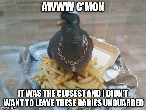 AWWW C'MON IT WAS THE CLOSEST AND I DIDN'T WANT TO LEAVE THESE BABIES UNGUARDED | made w/ Imgflip meme maker