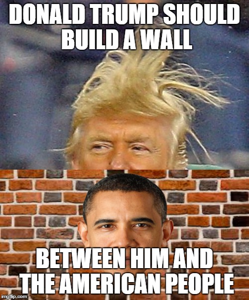 Donald Trumph hair | DONALD TRUMP SHOULD BUILD A WALL; BETWEEN HIM AND THE AMERICAN PEOPLE | image tagged in donald trumph hair | made w/ Imgflip meme maker