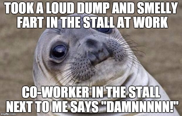 Awkward Moment Sealion Meme | TOOK A LOUD DUMP AND SMELLY FART IN THE STALL AT WORK; CO-WORKER IN THE STALL NEXT TO ME SAYS "DAMNNNNN!" | image tagged in memes,awkward moment sealion,AdviceAnimals | made w/ Imgflip meme maker